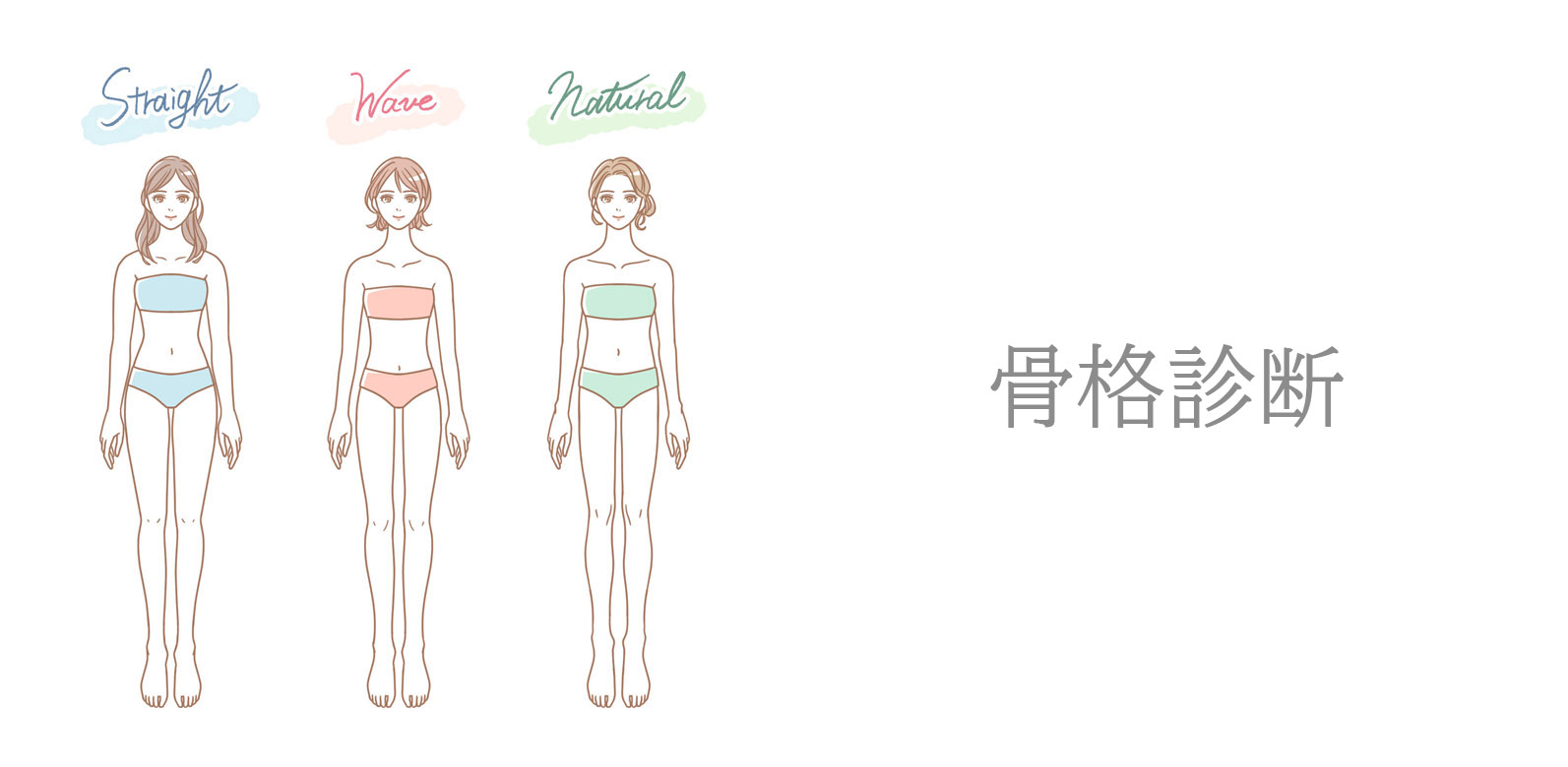 骨格診断